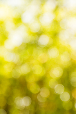 포토 JPG 해외이미지 사람없음 노란색 소프트포커스 보케 빛망울 블러 블러효과 보케백그라운드 해외202004 해외포토 컬러 백그라운드 촬영기법 빛 파일형식 효과 이미지허브