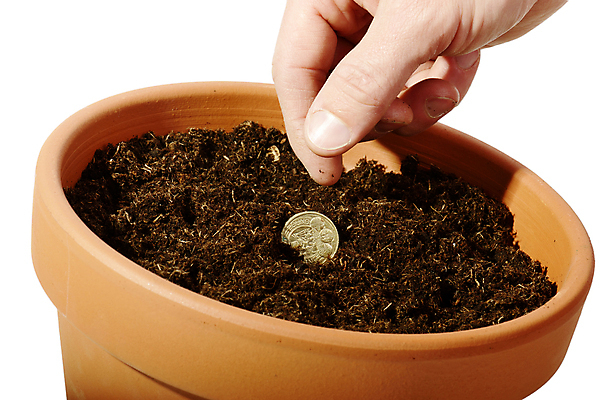 포토 JPG 해외이미지 식물 1 손 컨셉 돈 비즈니스 성공 아이디어 씨앗 사람없음 금융 동전 흙 저축 성장 재산 황금 냄비 바느질 심볼 시작 기회 투자 파운드 고립 파종 세련 해외202004 해외포토 신체부위 경제 농사 솥 파일형식 이미지허브