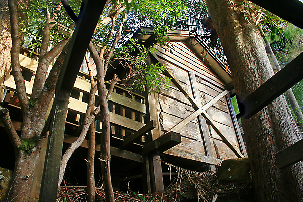 포토 JPG 해외이미지 나무 길 잎 휴가 휴식 전등 주택 사람없음 건물 목재 평화 일출 침묵 새벽 수확 시골 역사 숲 오두막 헛간 옛날 판잣집 해외202004 해외포토 자연요소 식물 건축물 컨셉 농업 재료 조명 노을 소리 저장고 파일형식 이미지허브