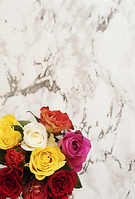 포토 JPG 해외이미지 식물 라이프스타일 여자 꽃잎 꽃 분홍색 꽃다발 백그라운드 컨셉 잎 꽃무늬 패턴 탁자 아침 건강 사랑 사람없음 빨간색 여름 빛 컬러풀 장미 노란색 유행 봄 흰색 신선 생일 플랫 달콤 정상 주식 허브 책상 대리석 위치 내추럴 구성 블로거 방식 해외202004 해외포토 주간 계절 기념일 감정 컬러 가구 무늬 재료 사람 생활 금융 맛 파일형식 이미지허브