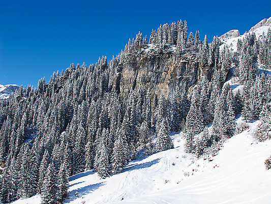 포토 JPG 해외이미지 나무 구름 라이프스타일 유럽 지구 여행 겨울 자연 하늘 스키 산 그림자 풍경 사람없음 야외 파란색 태양 평화 맑음 얼음 추위 흰색 황무지 고급 숲 크리스탈 가루 스위스 서리 알프스 썰매 썰매타기 전나무 절정 파라다이스 눈내림 해외202004 해외포토 자연요소 식물 계절 나라 컬러 컨셉 날씨 겨울스포츠 눈_날씨 생활 전통놀이 광석 생태계 파일형식 이미지허브