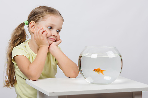 포토 JPG 해외이미지 디자인 응시 행복 감정 유럽 어린이 탁자 주택 선물 어류 한명 미소 앉기 희망 기쁨 꿈 원형 4 황금 긍정 5 수족관 고립 인기 해외202004 해외포토 도형 1 시선 나라 가구 컨셉 모션 표정 사람 건물 숫자 수중동물 파일형식 이미지허브