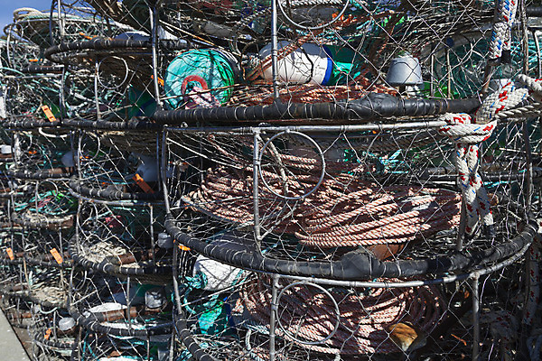 포토 JPG 해외이미지 산업 밧줄 바다 백그라운드 낚시 조개 육류 갑각류 어류 사람없음 야외 목재 빨간색 물 파란색 쌓기 항구 웹 장비 게 껍질 시골 잡기 그물 보트 선택 냄비 바닷가재 질감 낚시꾼 태평양 새장 올가미 옛날 카피스페이스 해외202004 해외포토 자연요소 나무 동물 줄 컬러 컨셉 인터넷 배_교통 식재료 재료 교통시설 모션 레저 어패류 수중동물 공백 솥 가재 케이지 파일형식 이미지허브