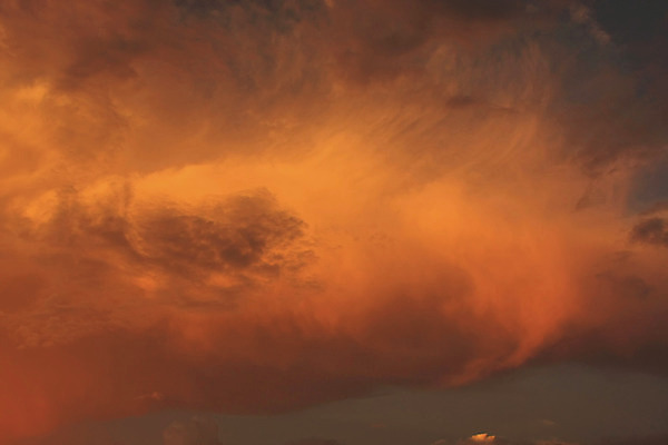 포토 JPG 해외이미지 구름 오렌지 자연 하늘 사람없음 컬러풀 일출 일몰 닫기 묘사 해외202004 해외포토 자연요소 컬러 과일 모션 노을 생태계 파일형식 이미지허브