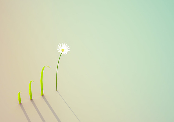 포토 JPG 해외이미지 식물 템플릿 디자인 계절 꽃잎 꽃 분홍색 꽃다발 백그라운드 컨셉 잎 꽃무늬 패턴 자연 벽지 추상 프레임 미술 사람없음 그래픽 장식 초록색 3D 우주 정원 봄 벚꽃 신선 신용카드 다발 내추럴 엘리먼트 스타일 해외202004 해외포토 컬러 무늬 문화예술 금융 디지털합성 생태계 파일형식 이미지허브