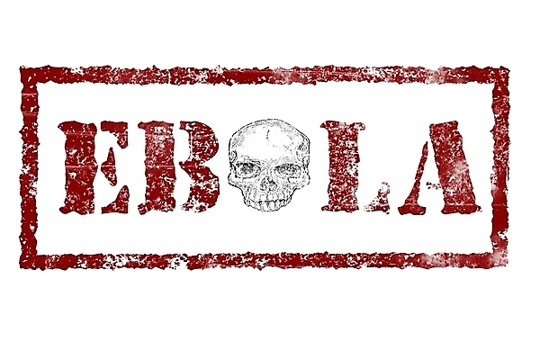 포토 JPG 해외이미지 컨셉 일러스트 아프리카 건강 경고 안전 사람없음 치료 빨간색 글로벌 약 금지 흰색 죽음 돼지 열 그리기 바이러스 질병 위험 심볼 사인 예방 감염 공지사항 고립 그만 돌봄 백신 인플루엔자 전염병 증상 해외202004 해외일러스트 나라 컬러 포유류 의학 모션 파일형식 이미지허브