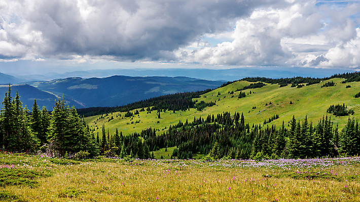 포토 JPG 해외이미지 나무 구름 꽃 캐나다 자국 자연 하늘 산 풍경 경사 사람없음 옆모습 빨간색 초록색 여름 파란색 컬러풀 맑음 페인트 하이킹 흰색 붓 개화 숲 인도인 언덕 페인트붓 장면 상록수 절정 해외202004 해외포토 자연요소 외국인 식물 계절 뷰포인트 컬러 북아메리카 레저 날씨 동양인 생태계 파일형식 이미지허브