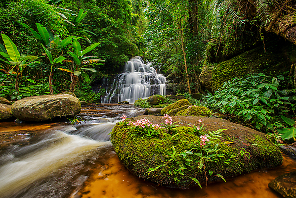 포토 JPG 해외이미지 나무 식물 공원 백그라운드 잎 모션 태국 자연 휴가 휴식 풍경 사람없음 목재 초록색 물 강 수영 봄 활발 폭포 젖음 흐름 성장 가을 신선 개울 숲 순수 천국 이국적 전국 파라다이스 해외202004 해외포토 자연요소 계절 공공시설 아시아 컬러 컨셉 재료 수상스포츠 생태계 파일형식 이미지허브