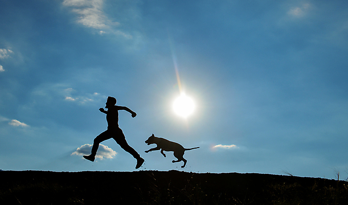 포토 JPG 해외이미지 실루엣 사람 사람없음 반려동물 힘 개 달콤 위험 먹이 사인 신호 보안 근육질 내추럴 공격적 부정적 주목 해외202004 해외포토 동물 감정 컨셉 포유류 근육 촬영기법 안전 맛 몸매 파일형식 이미지허브