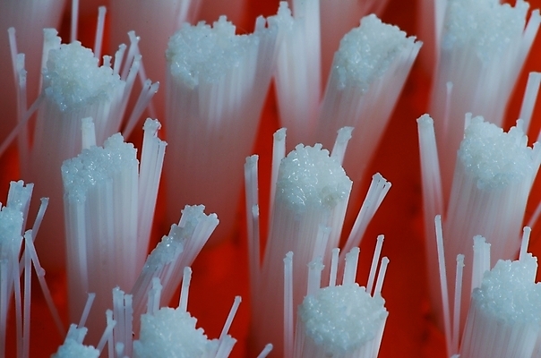 포토 JPG 해외이미지 백그라운드 오렌지 건강 사람없음 파란색 위생용품 목욕 욕실 흰색 공구 붓 입 닫기 치아 위생 빨래 칫솔 상품 플라스틱 자르기 세제 묘사 오브젝트 싱크대 치과의사 닦기 청소부 고립 돌봄 위생관리 해외202004 해외포토 직업 컬러 생활용품 가사 과일 모션 재질 관리 신체부위 청결 의사 도구 소화기관 개수대 파일형식 이미지허브