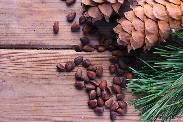포토 JPG 해외이미지 나무 음식 잎 크리스마스 겨울 다이어트 과일 공 탁자 새로움 주택 털 건강 요리 사람없음 목재 장식 가로 초록색 견과류 가을 나뭇가지 시골 소나무 달콤 연도 계산대 상록수 내추럴 채식주의자 가문비나무 비건 해외202004 해외포토 식물 계절 기념일 컬러 가구 컨셉 재료 건물 맛 채식 파일형식 이미지허브