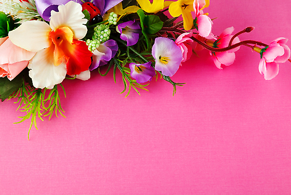 포토 JPG 해외이미지 계절 꽃잎 꽃 종이 분홍색 결혼 백그라운드 잎 꽃무늬 자연 휴가 프레임 미술 사람없음 장식 빨간색 상자 공백 흰색 축하 편지 배열 인공 해외202004 해외포토 식물 컬러 컨셉 무늬 문화예술 이벤트 생태계 파일형식 이미지허브