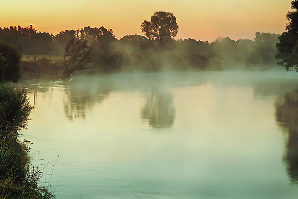 포토 JPG 해외이미지 나무 자연 하늘 아침 풍경 사람없음 물 강 침묵 새벽 안개 신선 시원함 해외202004 해외포토 주간 자연요소 식물 날씨 소리 생태계 파일형식 이미지허브