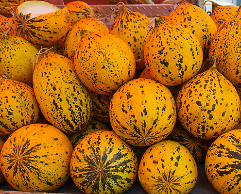 포토 JPG 해외이미지 음식 농업 다이어트 채소 과일 공 디저트 수박 건강 사람없음 초록색 여름 쇼핑 세트 노란색 쌓기 검은색 줄무늬 흰색 달콤 멜론 향기 소매 칠면조 여의주 채식주의자 핵심 해외202004 해외포토 계절 산업 컬러 무늬 모션 조류 맛 채식 냄새 파일형식 이미지허브