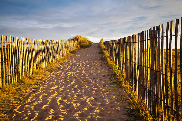 포토 JPG 해외이미지 유럽 길 모래 바다 여행 자연 하늘 풍경 사람없음 목재 초록색 물 여름 파란색 울타리 일몰 프랑스 오솔길 모래언덕 대서양 해외202004 해외포토 자연요소 나무 계절 나라 컬러 재료 담장 노을 언덕 생태계 파일형식 이미지허브