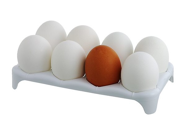 포토 JPG 해외이미지 1 음식 농업 재료 부활절 요리 사람없음 갈색 계란 치킨 흰색 신선 원형 8 자르기 먹기 순수 흰배경 유기농 날것 7 고립 단백질 밭일 생식 영양분 줄서기 취급주의 많음 해외202004 해외포토 도형 웰빙 기념일 산업 컬러 백그라운드 컨셉 모션 경고 숫자 알 닭고기요리 영양소 파일형식 이미지허브