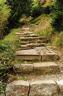 포토 JPG 해외이미지 나무 식물 공원 도로 길 잎 풍경 사람없음 야외 초록색 여름 계단 바위 숲 오솔길 내추럴 해외202004 해외포토 계절 공공시설 컬러 교통시설 돌_바위 파일형식 이미지허브