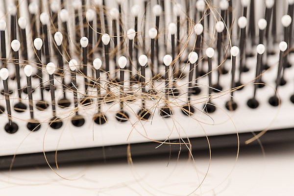 포토 JPG 해외이미지 근접촬영 사람없음 뷰티 머리카락 머리빗 엉킴 흰배경 헤어관리 두피케어 탈모 탈모클리닉 해외202004 탈모예방 해외포토 뷰포인트 백그라운드 머리 흰색 미용용품 예방 클리닉 증상 파일형식 이미지허브