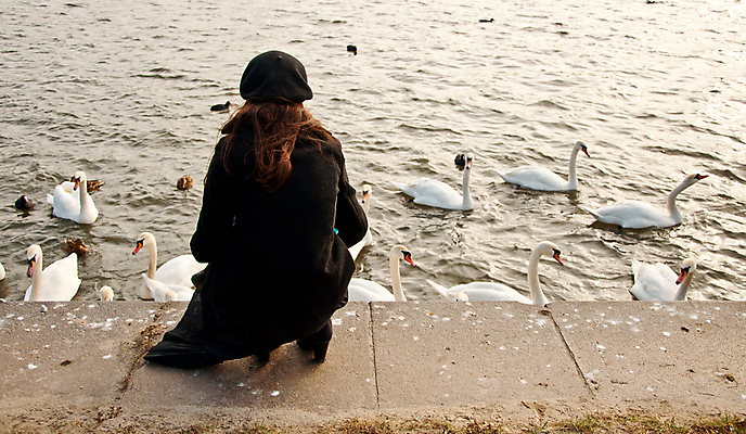 포토 JPG 해외이미지 동물 자연 조류 사람없음 물 흰색 백조 물새 해외202004 해외포토 자연요소 컬러 생태계 파일형식 이미지허브
