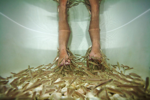 포토 JPG 해외이미지 라이프스타일 여자 컨셉 휴식 건강 어류 안전 사람 사람없음 치료 초록색 물 파란색 약 건강관리 상점 스파 흰색 마사지 입 손톱관리 손톱 먹기 피부 피부관리 수족관 테라피 돌봄 양발 위생관리 페디큐어 해외202004 해외포토 자연요소 손 컬러 의학 모션 관리 생활 신체부위 뷰티 수중동물 네일아트 파일형식 이미지허브