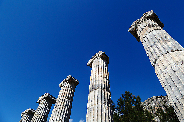 포토 JPG 해외이미지 유럽 건축양식 하늘 날씨 사람없음 햇빛 환경 맑음 경기장 봄 기둥 사찰 역사 극장 선사시대 칠면조 고고학 옛날 원형극장 파멸 포럼 해외202004 해외포토 계절 교육 건축 나라 컨셉 스포츠시설 종교건축 조류 태양 토론 파일형식 소멸 이미지허브