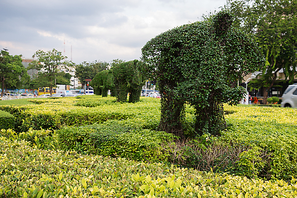 포토 JPG 해외이미지 모양 나무 식물 동물 잎 코끼리 사람없음 장식 초록색 정원 붓 치아 내추럴 해외202004 해외포토 컬러 포유류 소화기관 파일형식 이미지허브