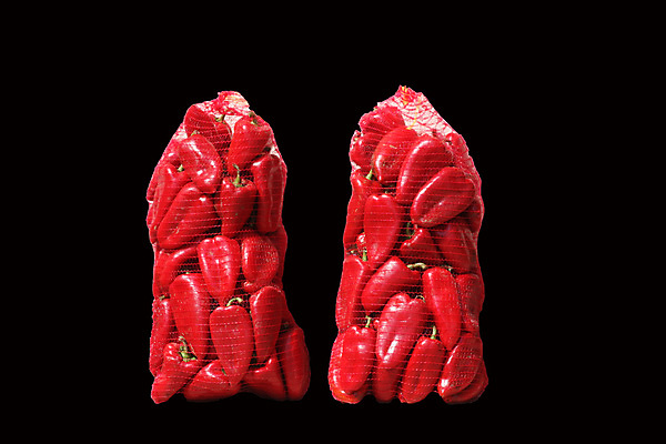 포토 JPG 해외이미지 식물 음식 농업 채소 고추 파프리카 건강 요리 사람없음 빨간색 주방 신선 달콤 향신료 내추럴 해외202004 해외포토 산업 컬러 맛 향미료 파일형식 이미지허브