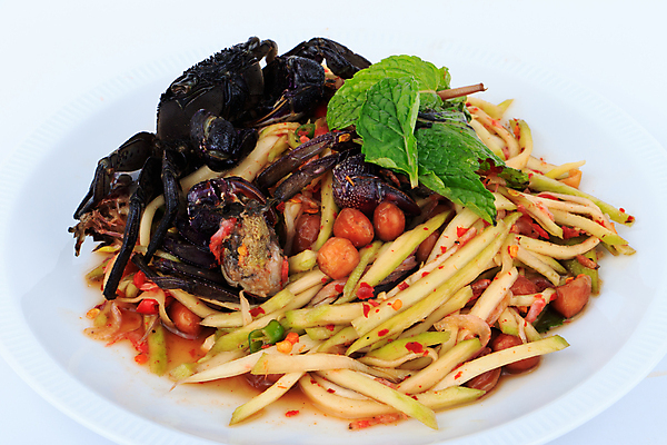 포토 JPG 해외이미지 전통 접시 아시아 문화 음식 토마토 채소 과일 태국 자연 고추 새우 건조 건강 요리 동양인 사람없음 초록색 식사 샐러드 에너지 게 흰색 신선 뜨거움 설탕 레몬 매움 소금 망고 인기 절임 짠맛 해외202004 해외포토 식기 나라 컬러 갑각류 인종 맛 열대과일 생태계 파일형식 이미지허브