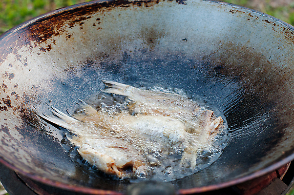 포토 JPG 해외이미지 동물 아시아 문화 음식 바다 백그라운드 태국 자연 건강 육류 어류 사람없음 식사 신선 그룹 플랫 먹기 지느러미 숯 해외202004 해외포토 나라 식재료 모션 수중동물 생태계 파일형식 이미지허브
