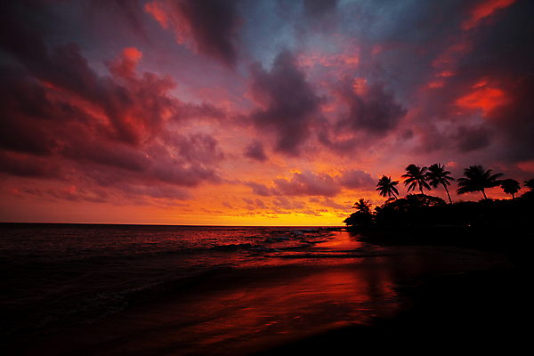 포토 JPG 해외이미지 스포츠 파도 바다 여행 포즈 모션 자연 날씨 기술 이벤트 사람없음 야외 물 운동 햇빛 힘 일몰 도전 액체 서핑 떨어짐 위험 시원함 하와이 태평양 분무기 서퍼 해외202004 해외포토 자연요소 컨셉 운동선수 건강 태양 노을 미국 수상스포츠 생태계 파일형식 이미지허브