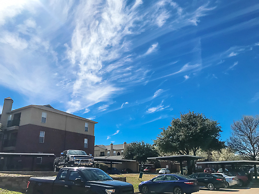 포토 JPG 해외이미지 나무 외관 건축양식 교통시설 자동차 벽돌 아파트 주택 사람없음 야외 건물 초록색 정원 미국 봄 발코니 도시 개화 재산 플랫 주차 가득함 지역 연립주택 리빙 이웃 제비 개발 교외 복잡 줄서기 진짜 차고 텍사스 해외202004 해외포토 식물 건축물 계절 건축 꽃 육상교통 컬러 교통 컨셉 북아메리카 모션 조류 금융 시설 파일형식 이미지허브