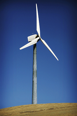 포토 JPG 해외이미지 식물 사람없음 초록색 힘 풍차 에너지 언덕 생태계 캘리포니아 자원 해외202004 해외포토 컬러 미국 파일형식 이미지허브