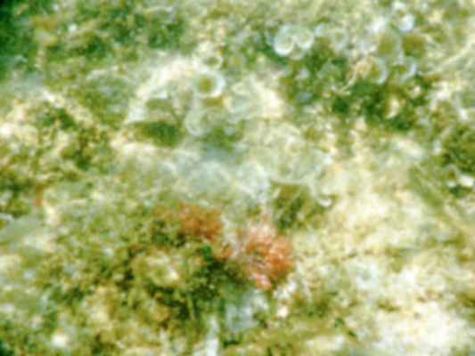 포토 JPG 해외이미지 모래 바다 여행 자연 하늘 휴가 풍경 사람없음 야외 물 여름 파란색 모래사장 여행객 이탈리아 흰색 도시 소프트포커스 지중해 보케 타운 몰디브 강렬 베르데 터키석 해외202004 해외포토 자연요소 계절 유럽 아시아 컬러 촬영기법 사람 보석 생태계 파일형식 이미지허브