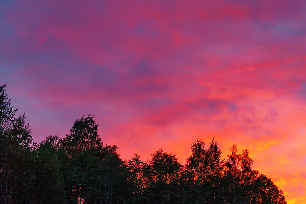 포토 JPG 해외이미지 나무 구름 유럽 여행 백그라운드 오렌지 자연 하늘 바람 파노라마 그림자 풍경 사람없음 야외 목재 빨간색 초록색 여름 파란색 컬러풀 햇빛 태양 노란색 보라색 어둠 황혼 일몰 새벽 분위기 야간 저녁 숲 내추럴 폭풍우 해외202004 해외포토 자연요소 식물 계절 나라 컬러 컨셉 과일 재료 날씨 촬영기법 노을 비_날씨 자연재해 생태계 파일형식 이미지허브