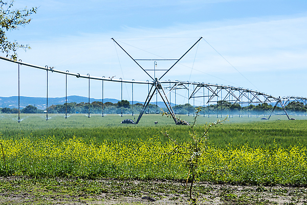 포토 JPG 해외이미지 식물 산업 음식 밭 농업 채소 자연 건강 풍경 사람없음 야외 초록색 물 농작물 농장 농경지 기계 흙 젖음 흐름 성장 시골 신선 바퀴 시장 떨어짐 땅 유기농 날것 분무기 시스템 땅바닥 밭일 스프링쿨러 공급 해외202004 해외포토 자연요소 웰빙 컬러 컨셉 바닥 생태계 파일형식 이미지허브