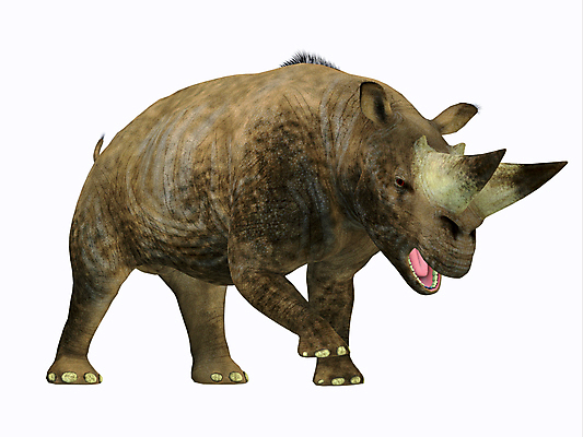 포토 JPG 해외이미지 동물 척추동물 포유류 아프리카 초식동물 생물 사람없음 3D 큼 그림 멸종 코뿔소 선사시대 원시시대 초식 해외202004 해외포토 나라 역사 크기 디지털합성 파일형식 이미지허브