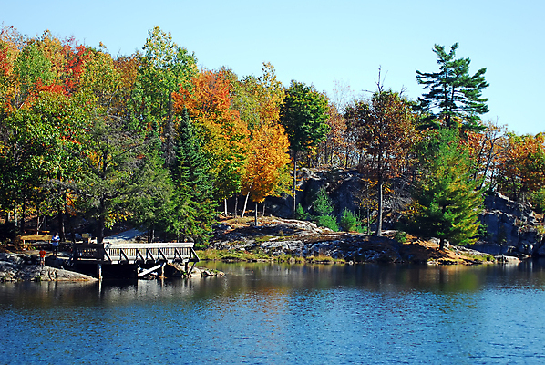 포토 JPG 해외이미지 나무 호수 잎 오렌지 자연 하늘 풍경 사람없음 빨간색 초록색 물 파란색 반사 노란색 가을 시골 연못 숲 멀리 해외202004 해외포토 자연요소 식물 계절 컬러 과일 생태계 파일형식 이미지허브