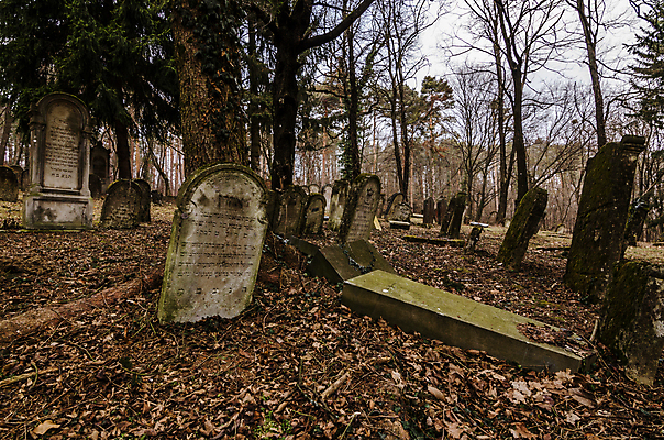 포토 JPG 해외이미지 꽃 기독교 종교 지구 백그라운드 십자가 부활절 사람없음 목재 조각상 검은색 성경 바위 기도 죽음 예수 영혼 목사 심볼 애도 신성 땅파기 신앙심 옛날 장례식 오싹 해외202004 해외포토 나무 식물 기념일 컬러 재료 종교용품 조형물 신_종교 성직자 파일형식 이미지허브