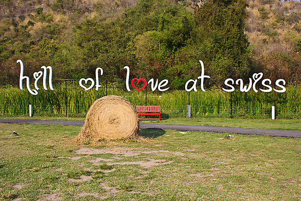 포토 JPG 해외이미지 식물 구름 계절 음식 백그라운드 밭 농업 자연 하늘 건조 옥수수 풍경 사람없음 야외 여름 파란색 농작물 태양 농장 농경지 노란색 쌓기 수확 가을 시골 원형 황금 볏짚 먹이 낟알 땅 자르기 밀 보리 롤 패키지 뭉치 밀짚 내추럴 밭일 호밀 수평선 해외202004 해외포토 자연요소 도형 산업 컬러 모션 곡류 짚 생태계 파일형식 이미지허브