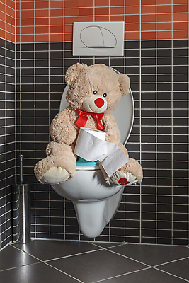 포토 JPG 해외이미지 동물 교육 종이 어린이 곰 가족 주택 건강 앉기 사람없음 장난감 갈색 육아 욕실 흰색 사발 타일 화장실 롤 부드러움 고립 기르기 돌봄 변기통 해외202004 해외포토 컬러 포유류 관계 모션 사람 건물 감각 사기그릇 파일형식 이미지허브