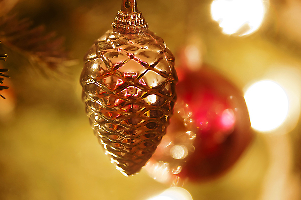 포토 JPG 해외이미지 나무 백그라운드 크리스마스 겨울 오렌지 공 휴가 새로움 매달리기 사람없음 장식 초록색 빛 반짝임 컬러풀 노란색 지구본 축제 희망 축하 소나무 신용카드 황금 연도 오브젝트 엽서 노려봄 강렬 여의주 카피스페이스 해외202004 해외포토 식물 계절 기념일 감정 컬러 컨셉 과일 모션 표정 금융 공백 편지 파일형식 이미지허브