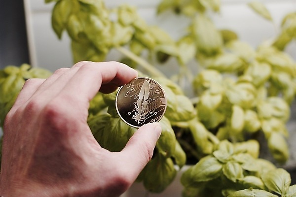 포토 JPG 해외이미지 돈 사람없음 금융 동전 하트 시장 황금 발굴 깃털 무역 해외202004 해외포토 모양 산업 경제 재산 파일형식 이미지허브