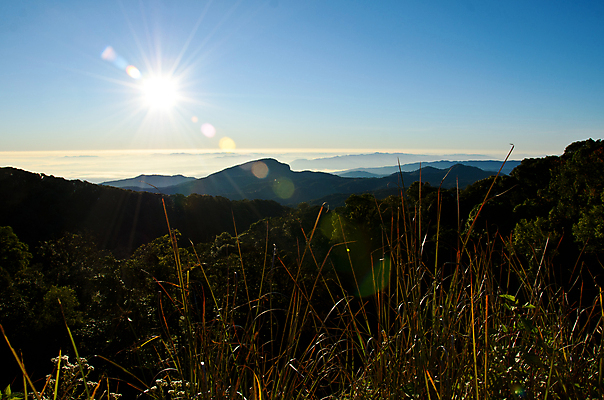 포토 JPG 해외이미지 구름 계절 야생동물 태국 자연 하늘 아침 산 풍경 사람없음 야외 여름 빛 햇빛 태양 일출 환경 일몰 봄 새벽 안개 광선 시골 신선 숲 북쪽 마법 내추럴 생태학 절정 해외202004 해외포토 주간 자연요소 동물 교육 아시아 날씨 노을 방향 생태계 파일형식 이미지허브