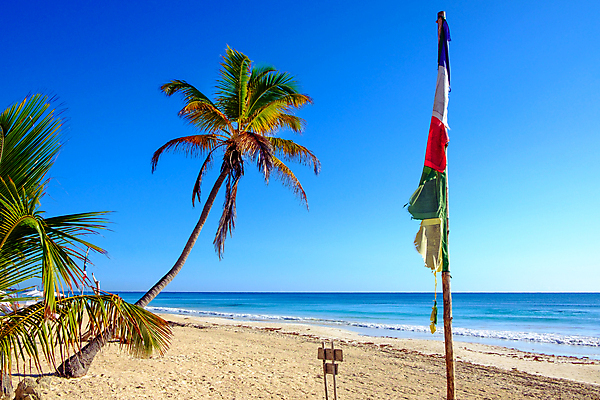 포토 JPG 해외이미지 나무 구름 모래 바다 섬 여행 백그라운드 자연 하늘 휴가 휴식 손바닥 풍경 사람없음 야외 초록색 물 여름 파란색 햇빛 태양 맑음 침묵 황혼 일몰 시골 만 서핑 코코넛 석호 소셜네트워크 파라다이스 해외202004 해외포토 자연요소 식물 손 계절 컬러 컨셉 과일 날씨 노을 소리 수상스포츠 생태계 파일형식 이미지허브