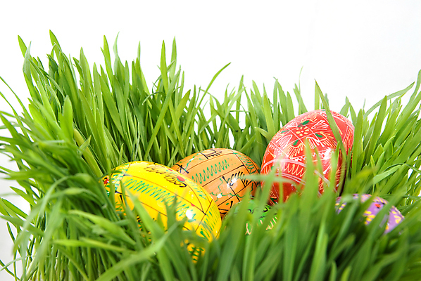 포토 JPG 해외이미지 전통 디자인 계절 종교 음식 백그라운드 패턴 오렌지 가족 휴가 부활절 선물 사람없음 장식 빨간색 초록색 컬러풀 농장 노란색 계란 봄 흰색 축하 화려 둥지 4월 심볼 오브젝트 내추럴 고립 러시아인 우크라이나 해외202004 해외포토 서양인 기념일 유럽 컬러 컨셉 무늬 농업 과일 관계 알 날짜 파일형식 이미지허브