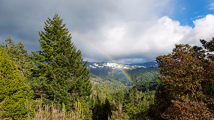 포토 JPG 해외이미지 나무 식물 구름 계절 여행 백그라운드 무지개 잎 자연 하늘 산 풍경 사람없음 야외 초록색 컬러풀 환경 계곡 미국 추위 가을 흰색 시골 숲 언덕 내추럴 넘어짐 해외202004 해외포토 자연요소 컬러 북아메리카 모션 생태계 파일형식 이미지허브