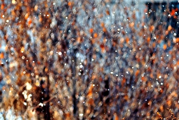 포토 JPG 해외이미지 디자인 배너 계절 백그라운드 잎 오렌지 자연 아침 바람 추상 수채화 따뜻함 경사 사람없음 야외 파란색 빛 컬러풀 햇빛 태양 노란색 우주 일출 맑음 사진촬영 활발 가을 혼합 질감 보케 부드러움 결 내추럴 강렬 광 블러 파스텔톤 해외202004 해외포토 주간 자연요소 식물 컬러 컨셉 무늬 과일 날씨 노을 촬영 감각 생태계 파일형식 이미지허브