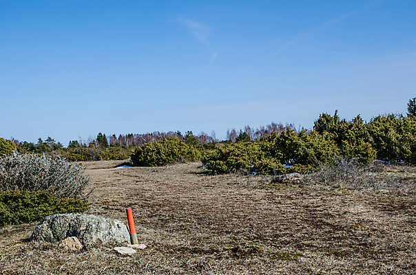 포토 JPG 해외이미지 공원 스포츠 여행 자국 자연 하늘 휴가 건조 스웨덴 풍경 사람없음 야외 목재 파란색 태양 평화 맑음 트래킹 하이킹 사막 바위 황무지 오솔길 흔적 내추럴 방법 석회암 선로 스칸디나비아 자취 특별함 향나무 해외202004 해외포토 자연요소 나무 공공시설 길 컬러 컨셉 재료 레저 날씨 북유럽 암석 돌_바위 생태계 파일형식 이미지허브