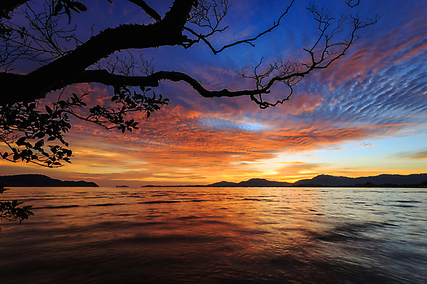 포토 JPG 해외이미지 구름 실루엣 파도 바다 백그라운드 태국 자연 하늘 날씨 풍경 사람없음 빨간색 물 여름 파란색 빛 햇빛 태양 반사 노란색 일출 황혼 일몰 새벽 서핑 저녁 내추럴 푸켓 수평선 해외202004 해외포토 자연요소 계절 아시아 컬러 촬영기법 노을 수상스포츠 야간 생태계 파일형식 이미지허브
