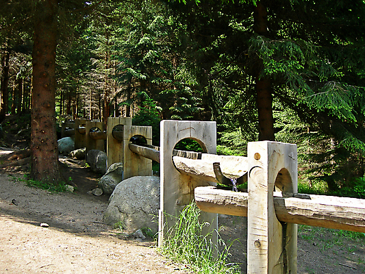 포토 JPG 해외이미지 식물 접시 공원 음료 잎 자연 산 이끼 풍경 사람없음 목재 초록색 물 여름 파란색 강 평화 봄 폭포 캠핑 하이킹 젖음 바위 나뭇가지 신선 개울 황무지 숲 언덕 상쾌 부드러움 내추럴 지질학 해외202004 해외포토 자연요소 나무 식기 계절 공공시설 교육 감정 컬러 컨셉 재료 레저 돌_바위 감각 생태계 파일형식 이미지허브